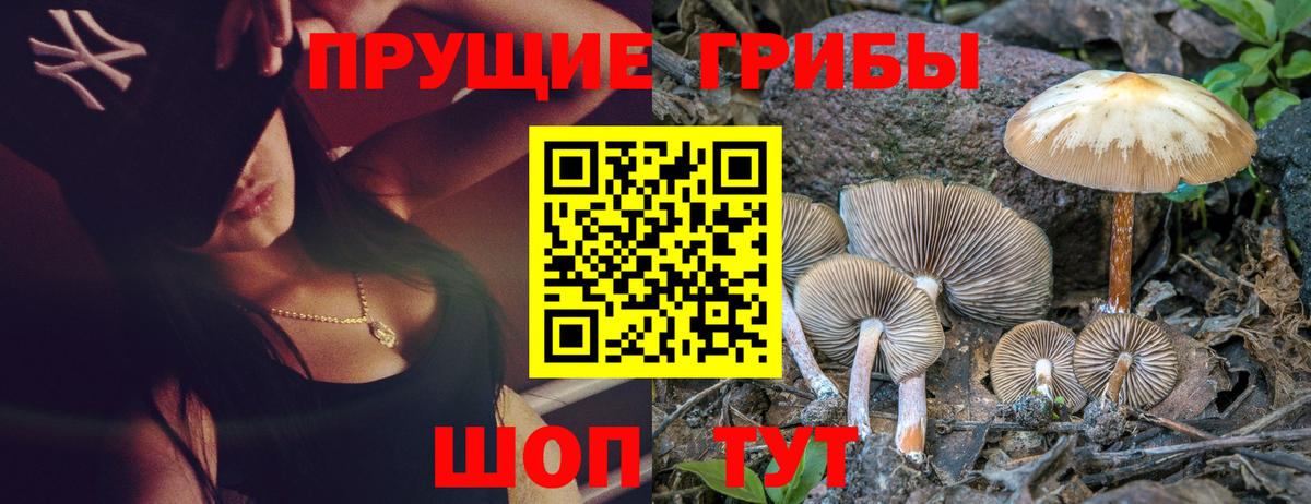 Псилоцибиновые грибы GOLDEN TEACHER  Вход с VPN  Лосино-Петровский 
