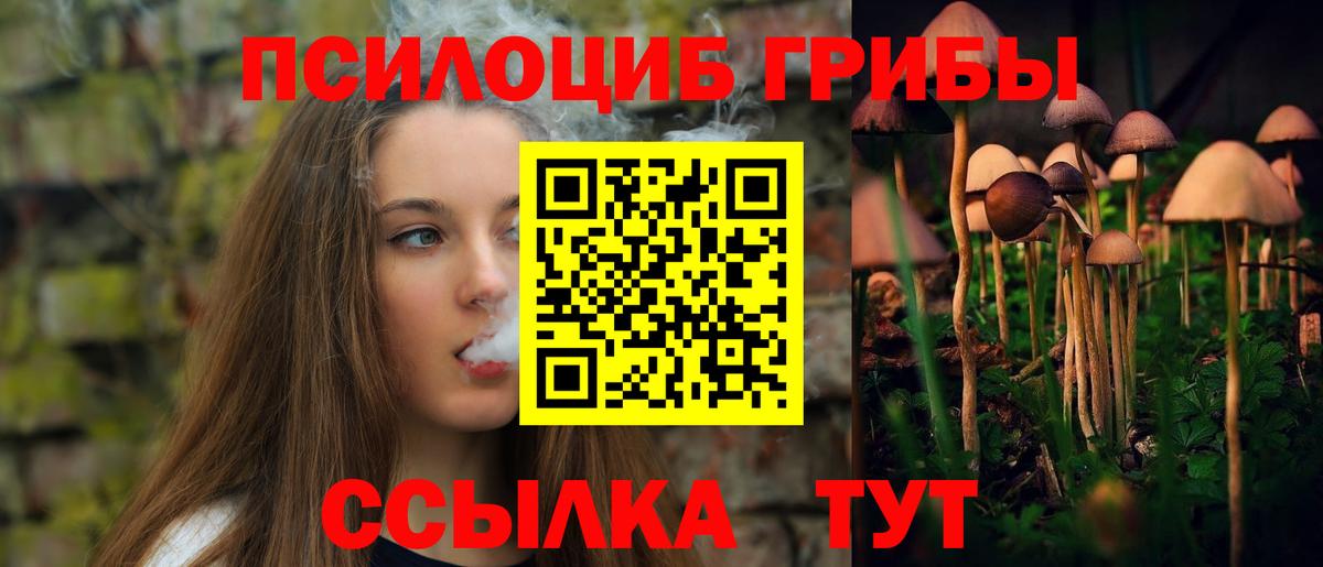 Галлюциногенные грибы Cubensis Лосино-Петровский